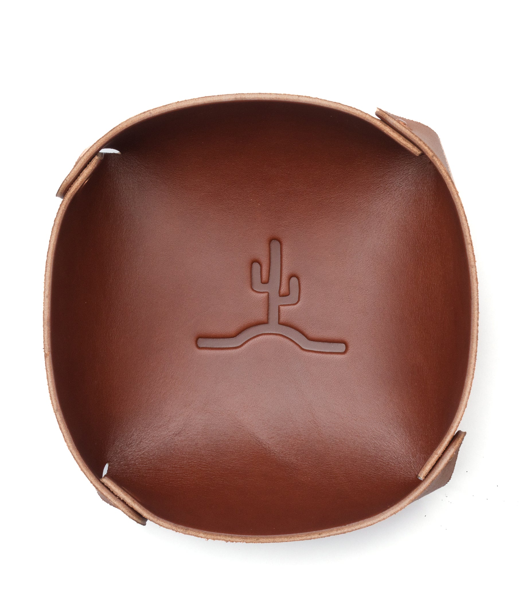 Flying Cactus Catch // Medium Brown