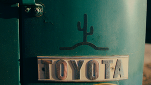 Flying Cactus Transfer Sticker