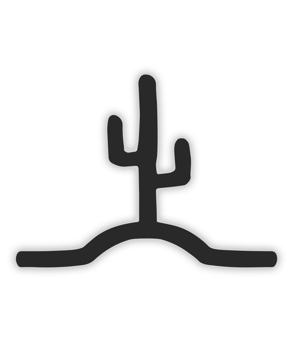 Flying Cactus Transfer Sticker