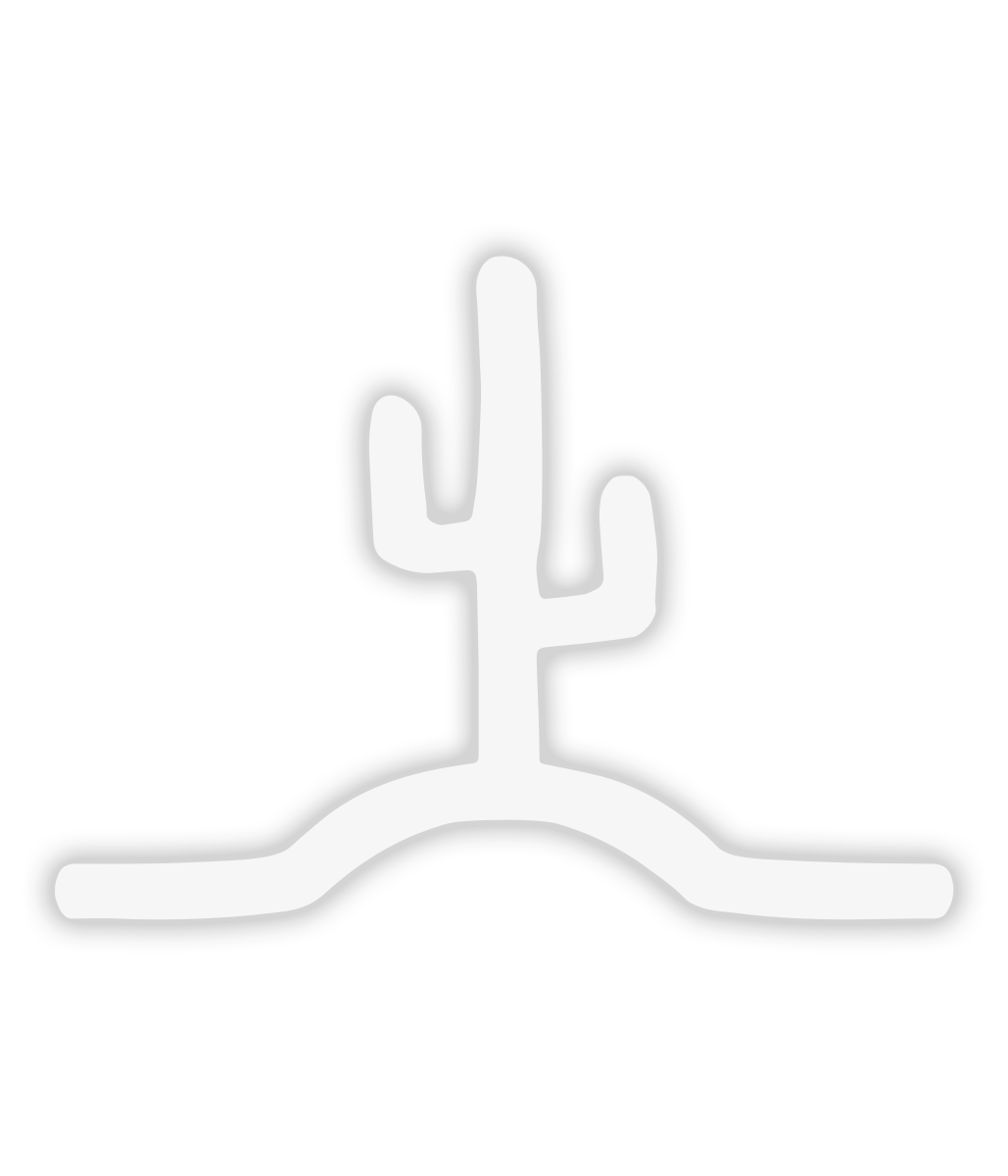 Flying Cactus Transfer Sticker
